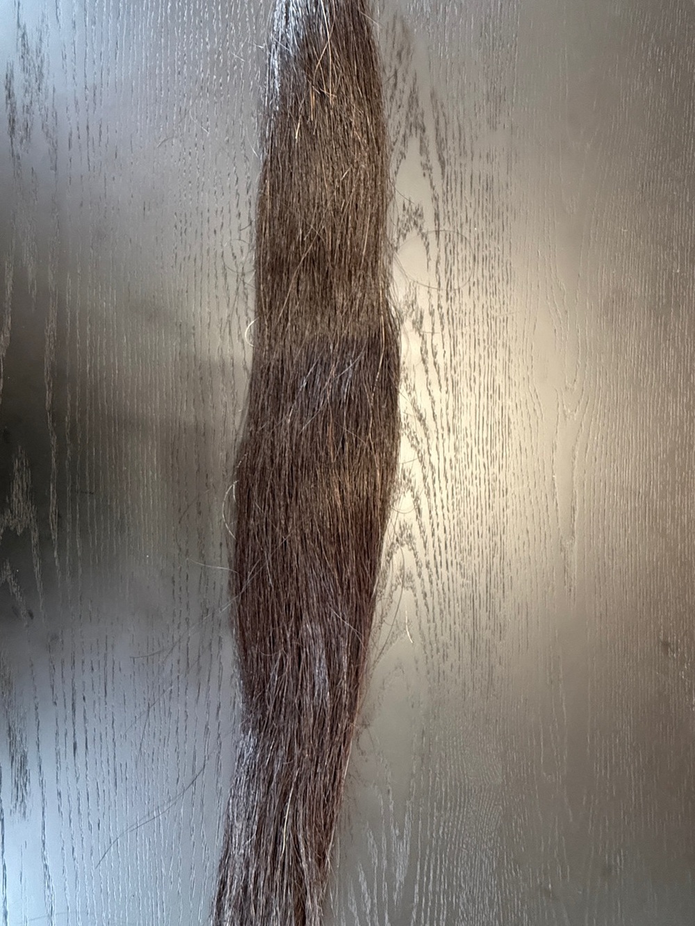 Trophy Tail Black Hunter Tail Extension